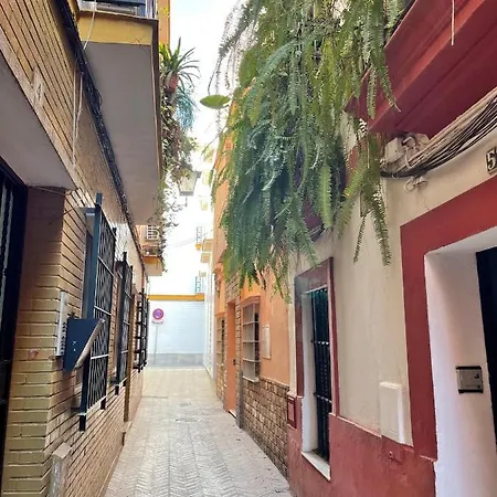 Barrio De Santa Cruz, La Juderia. Zona Inmejorable Apartment Seville